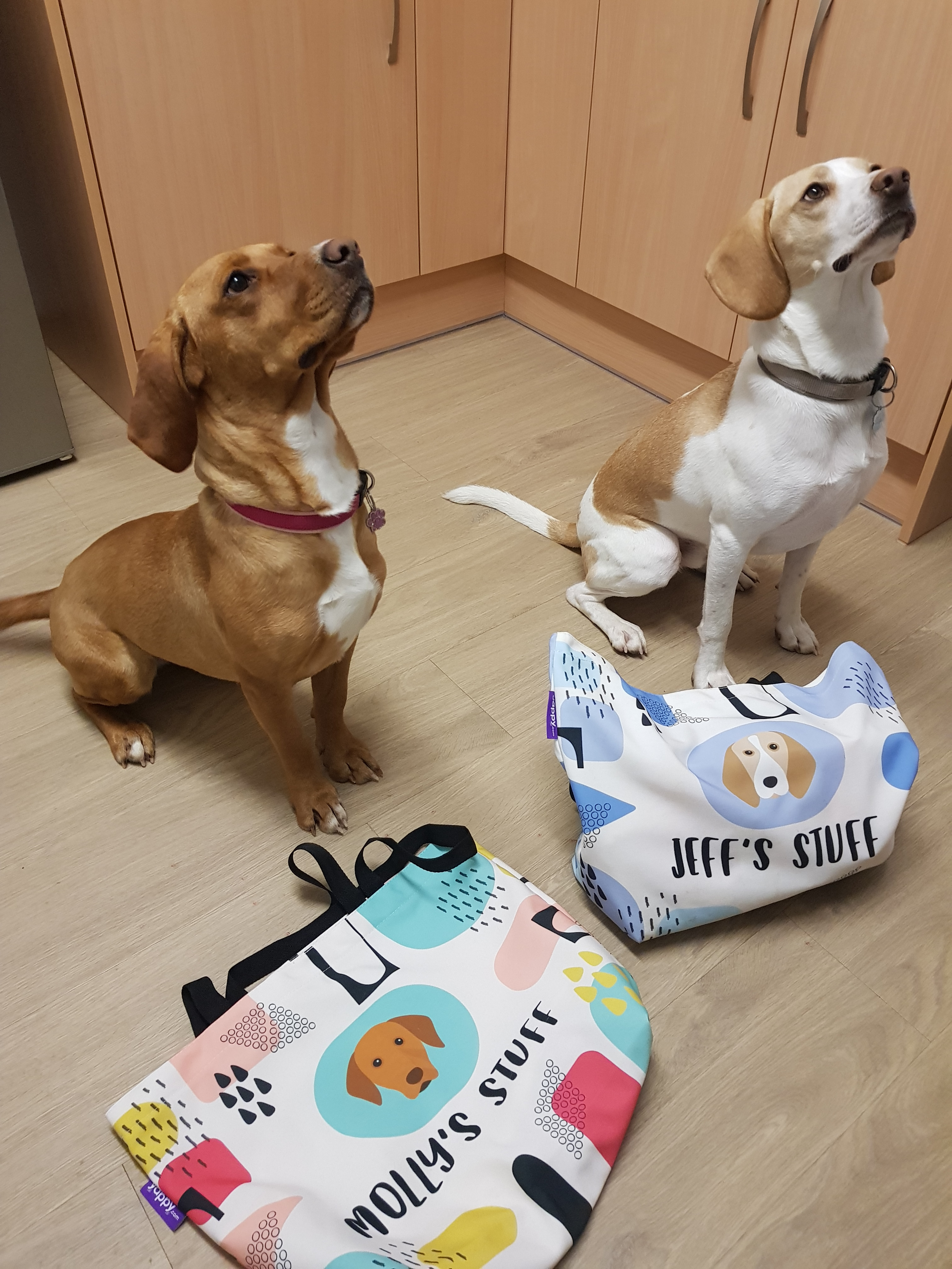 Customer photo of Personalized ‘Abstract’ Bag for Your Dog&rsquo;s Stuff