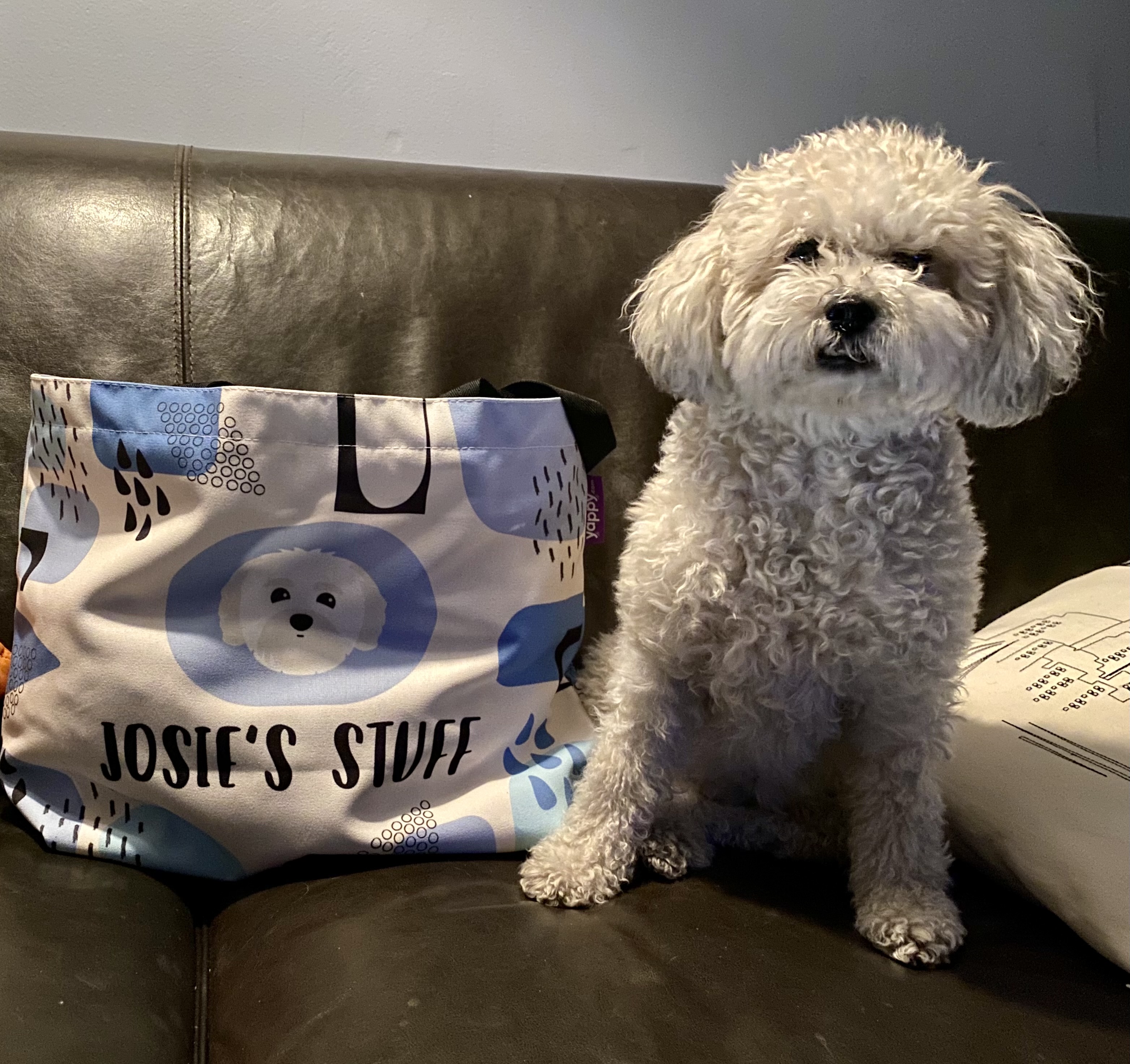 Customer photo of Personalized ‘Abstract’ Bag for Your Dog&rsquo;s Stuff