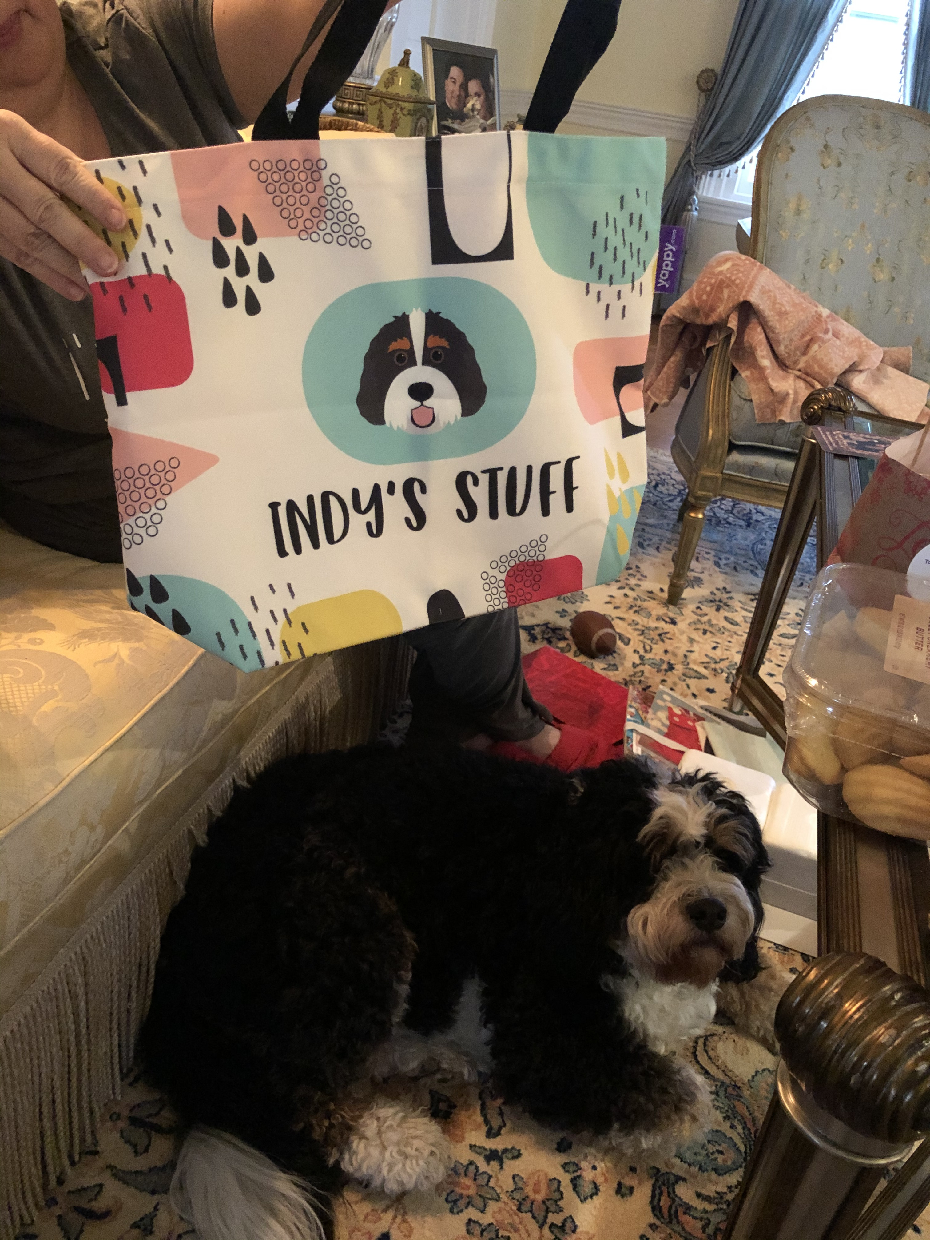 Customer photo of Personalized ‘Abstract’ Bag for Your Dog&rsquo;s Stuff
