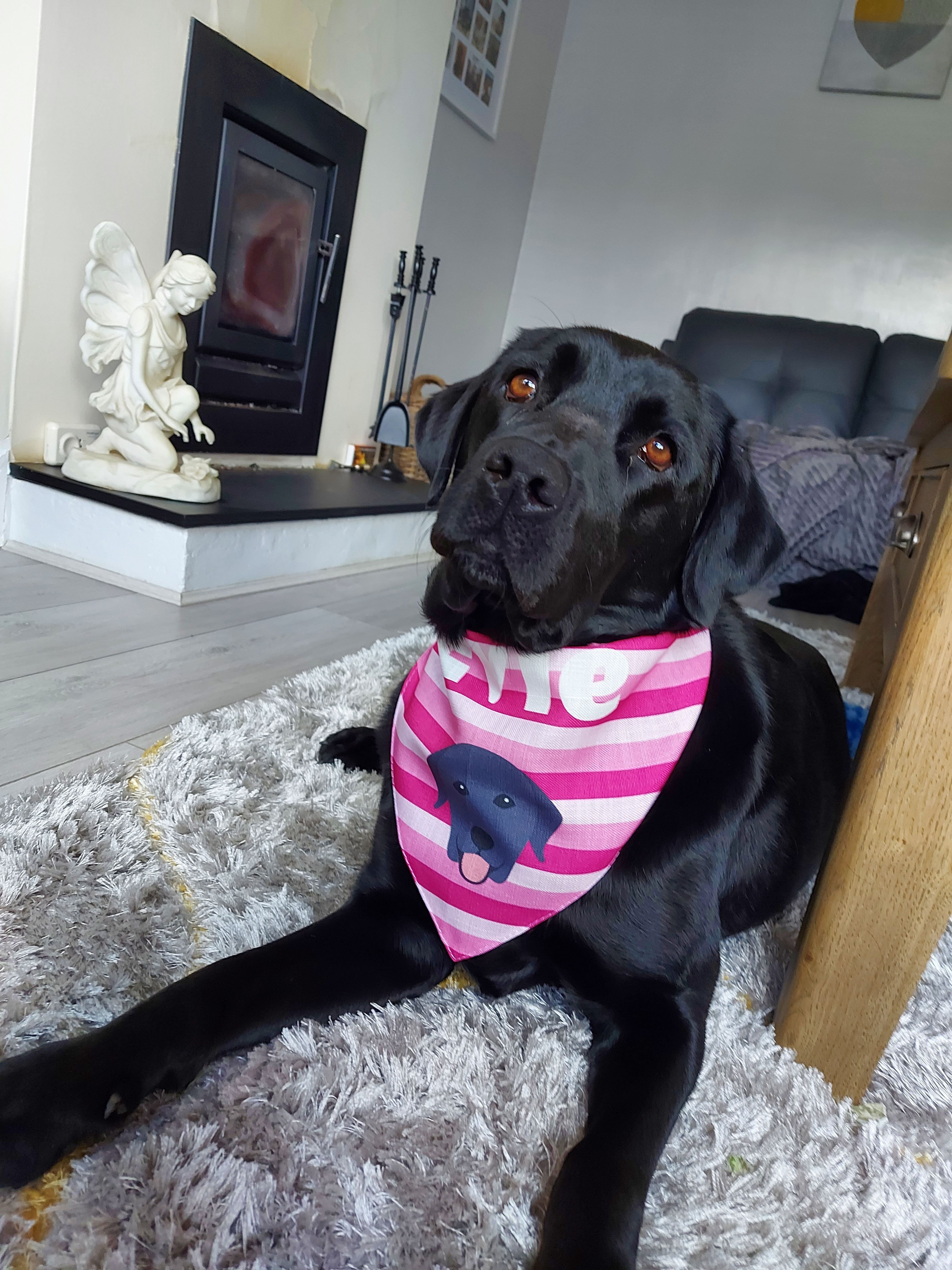 Customer photo of 'Stripes' - Personalized German Wirehaired Pointer Bandana