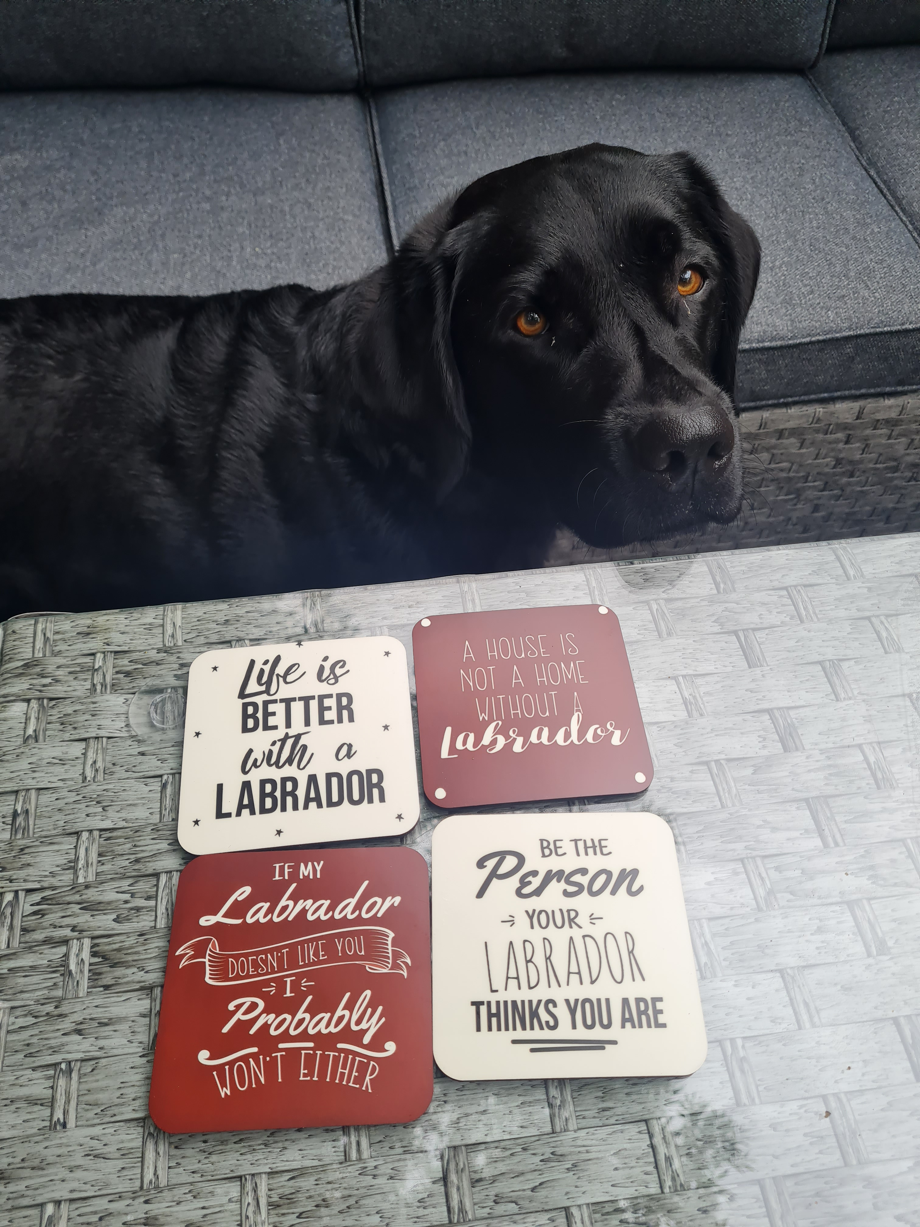 Customer photo of 'Pointer Quote' - Personalized German Wirehaired Pointer Coasters (Set of 4)