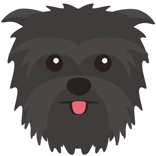 Affenpinscher