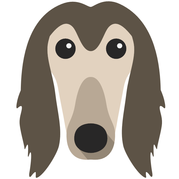 Afghan Hound