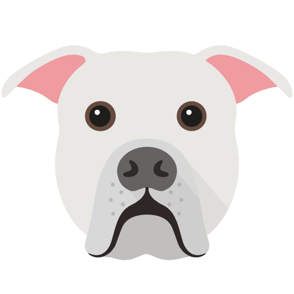 American Bulldog