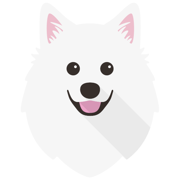 American Eskimo Dog