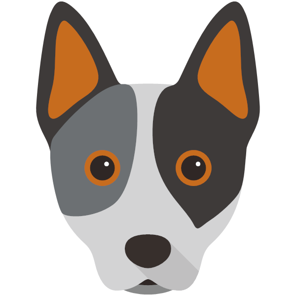 Australian Cattle Dog