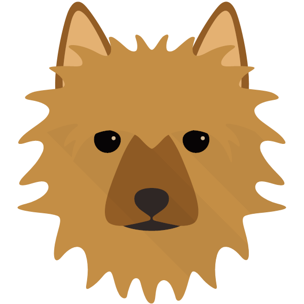 Australian Terrier