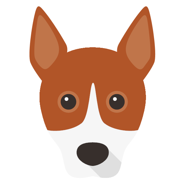 Basenji