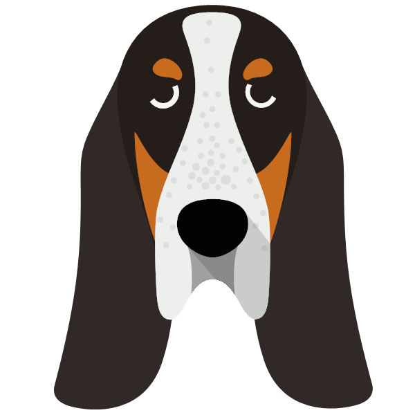 Basset Bleu De Gascogne