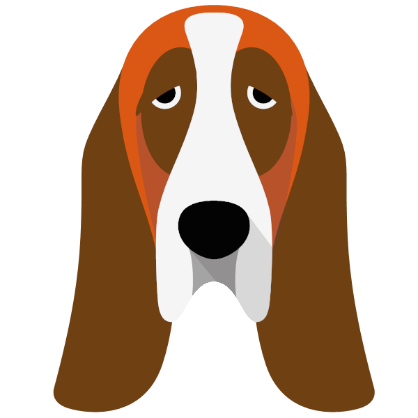 Basset Hound