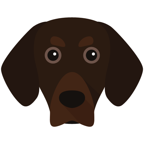 Bavarian Mountain Hound