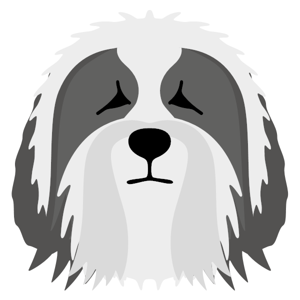 Bearded Collie