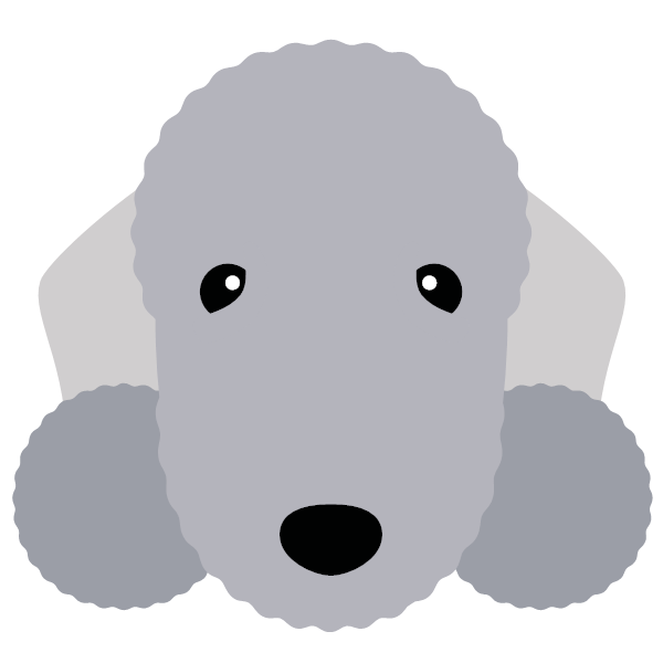 Bedlington Terrier