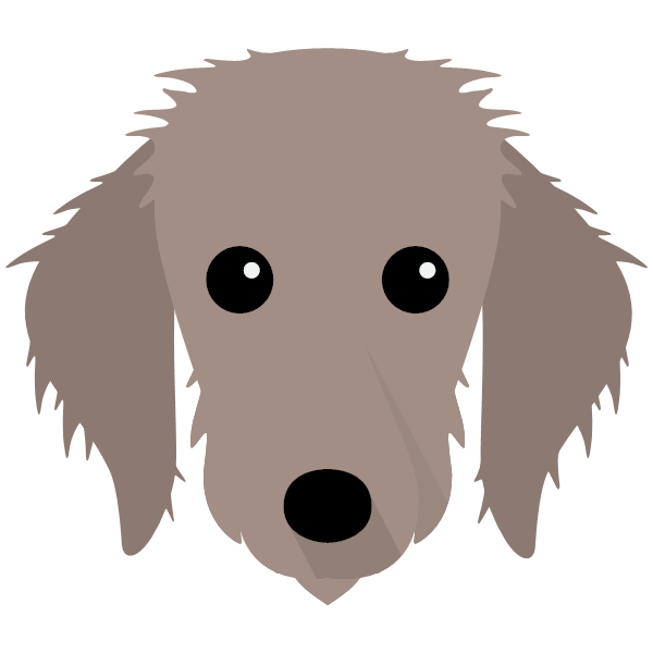 Bedlington Whippet