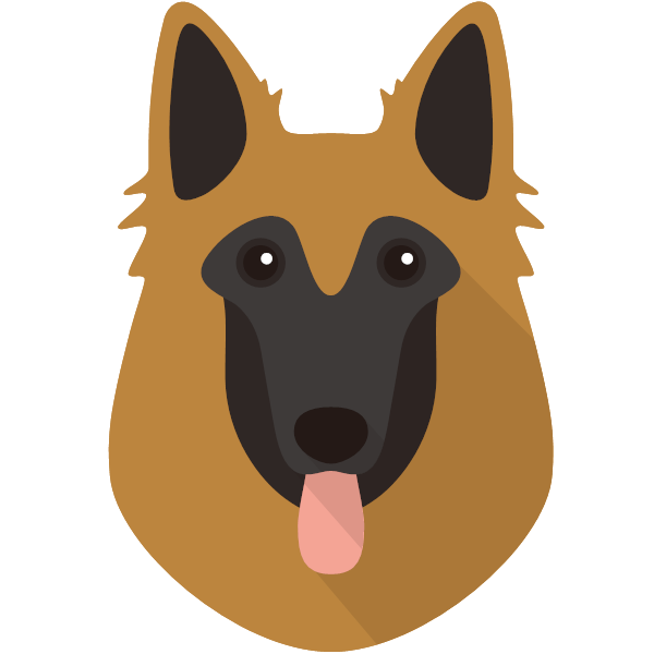 Belgian Tervuren