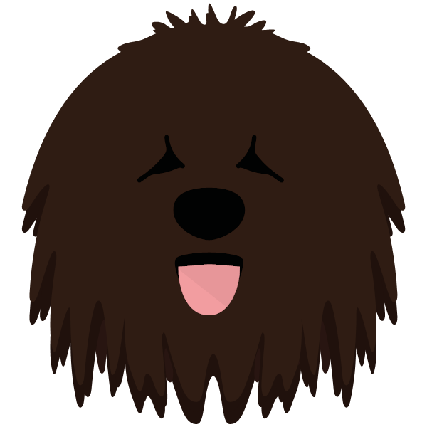 Bergamasco