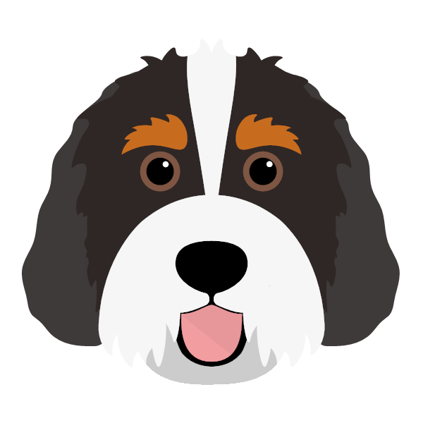 Bernedoodle