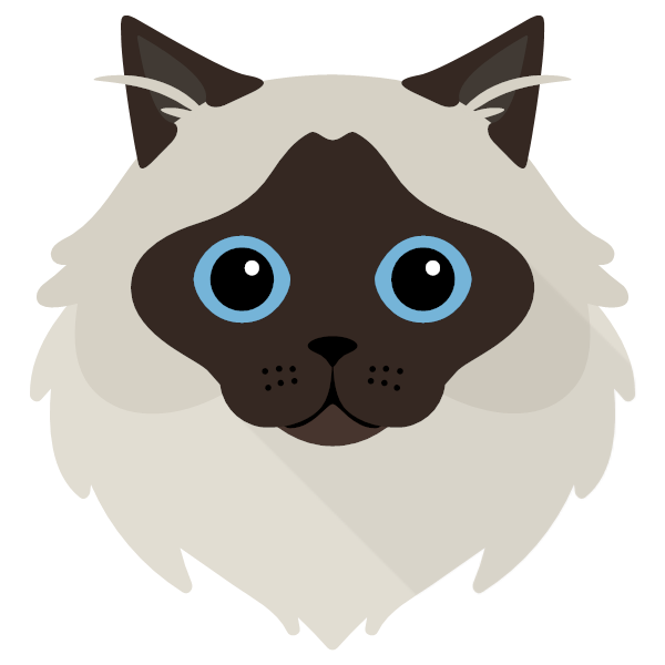 Birman