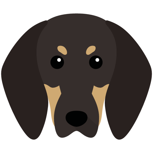 Black and Tan Coonhound