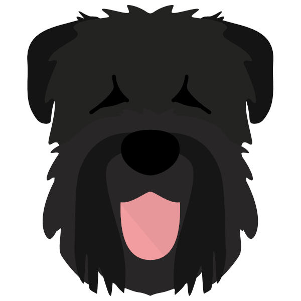 Black Russian Terrier