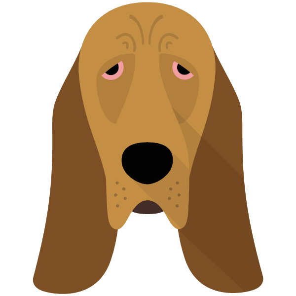 Bloodhound