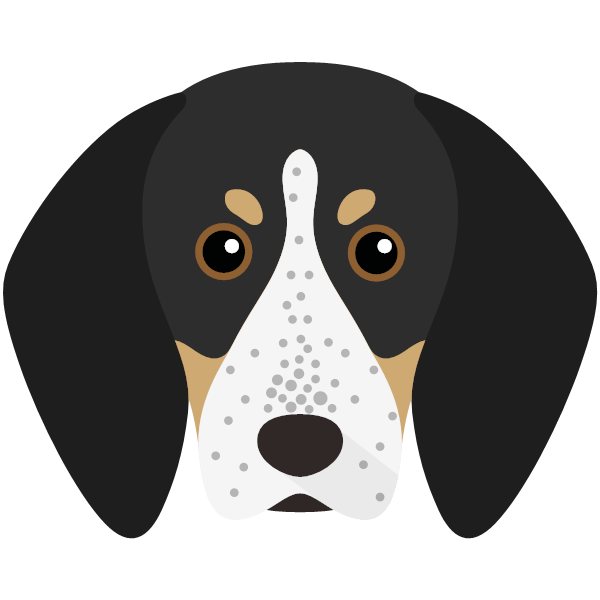 Bluetick Coonhound