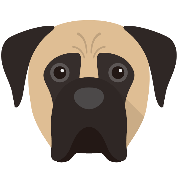 Boerboel