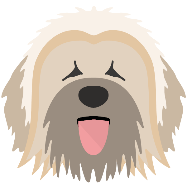 Briard