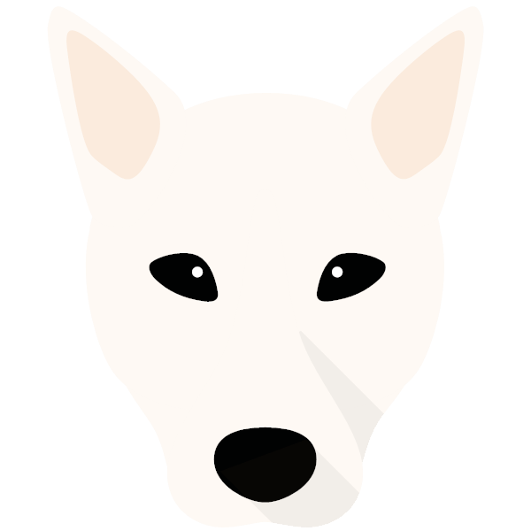 Canaan Dog