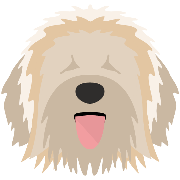 Catalan Sheepdog