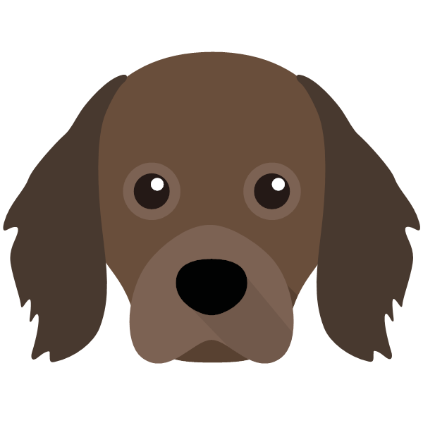 Cavapom