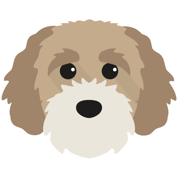 Cavapoochon
