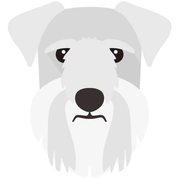 Cesky Terrier