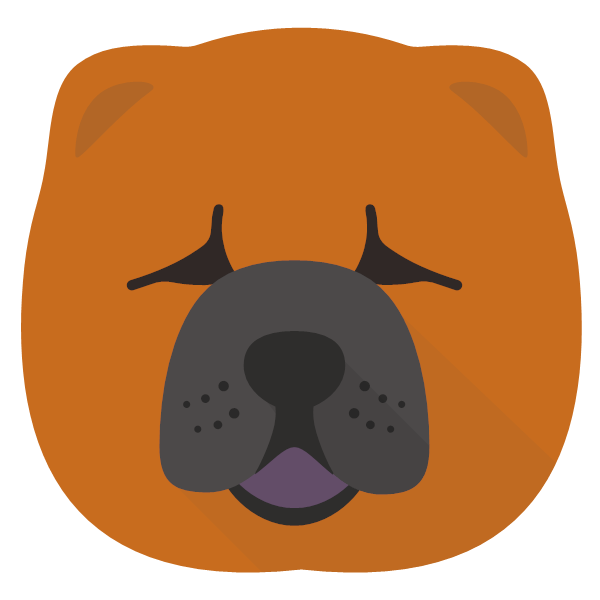 Chow Chow