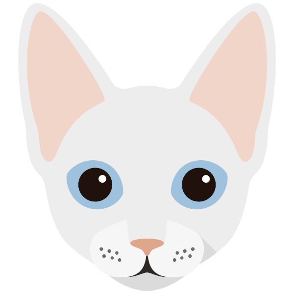 Cornish Rex