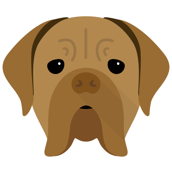 Dogue de Bordeaux