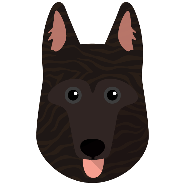 Dutch Shepherd