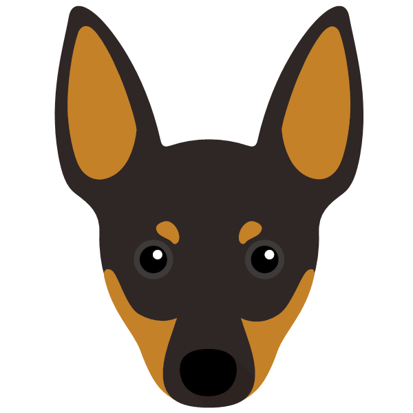 English Toy Terrier
