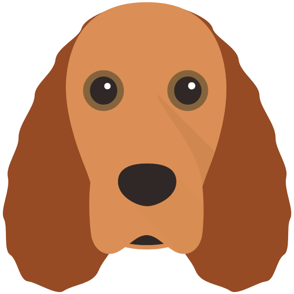 Field Spaniel