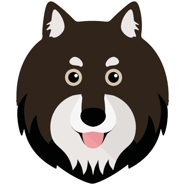 Finnish Lapphund
