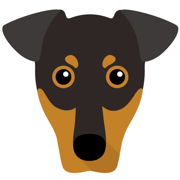 German Pinscher