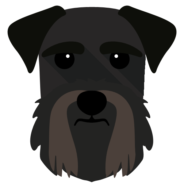 Giant Schnauzer