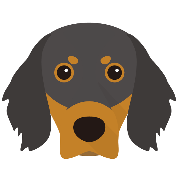 Gordon Setter