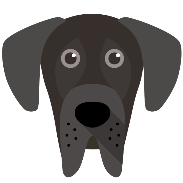 Great Dane