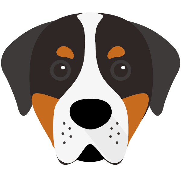 Greater Swiss Mountain Dog