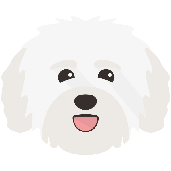 Havanese