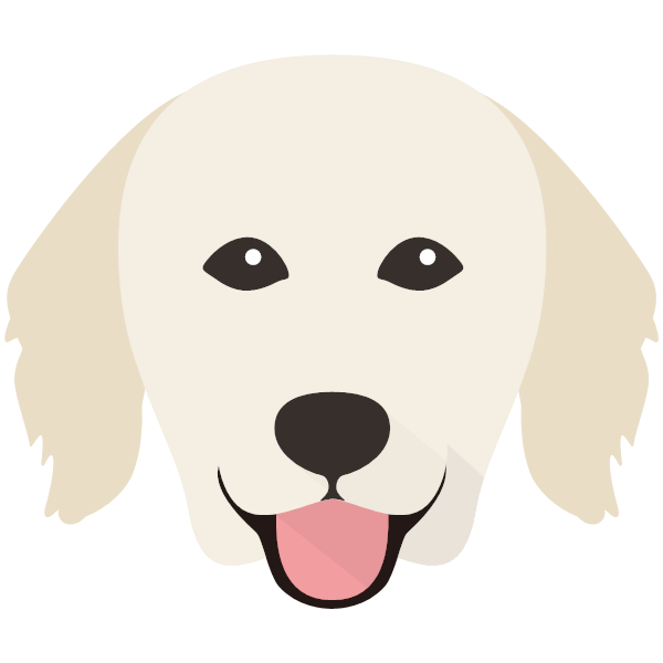 Hungarian Kuvasz