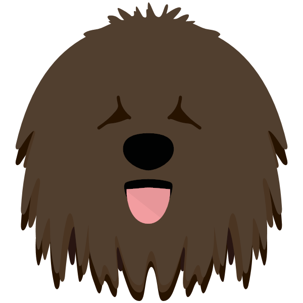 Hungarian Puli