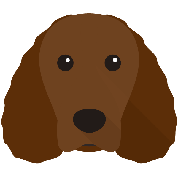 Irish Water Spaniel