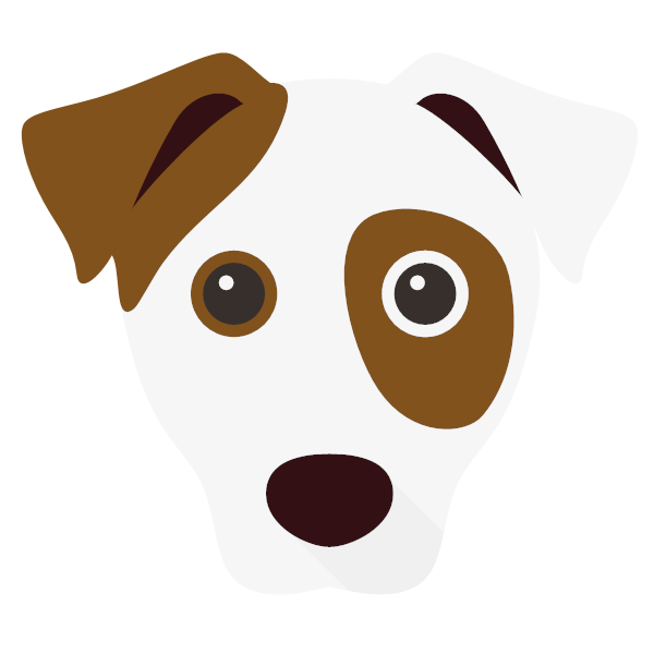 Jack Russell Terrier